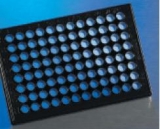 96孔细胞培养板
